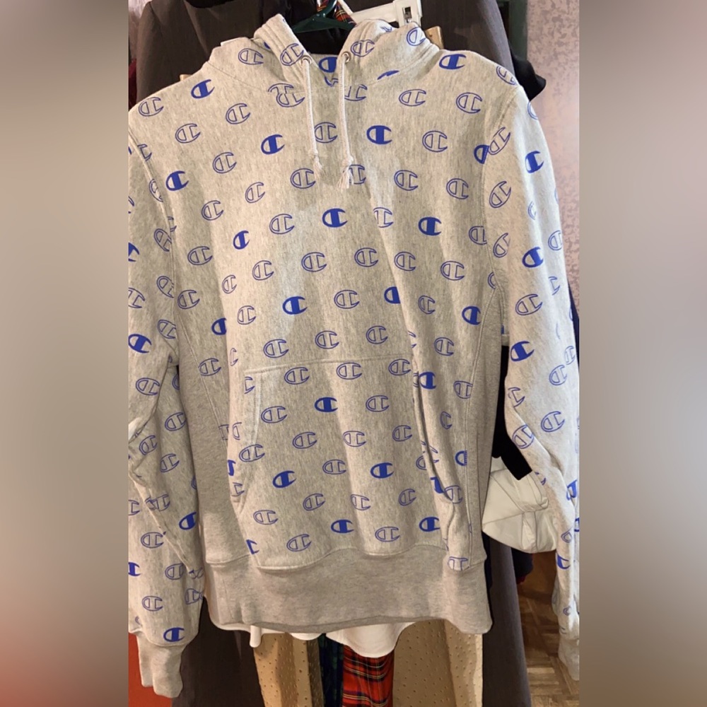 Blue and gray champion hoodie, size: small